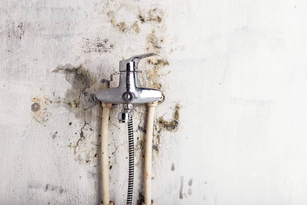 Best Mold Testing  in Washburn, WI
