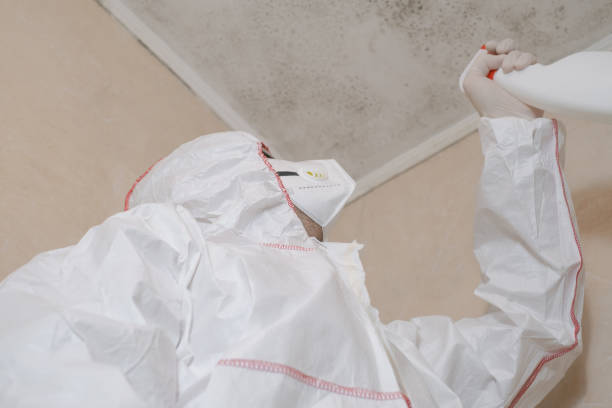 Best Mold Remediation  in Washburn, WI