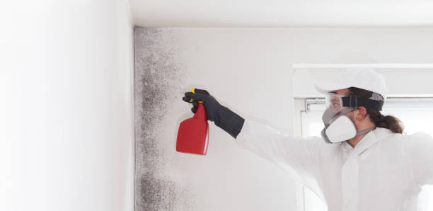Best Mold Testing  in Washburn, WI